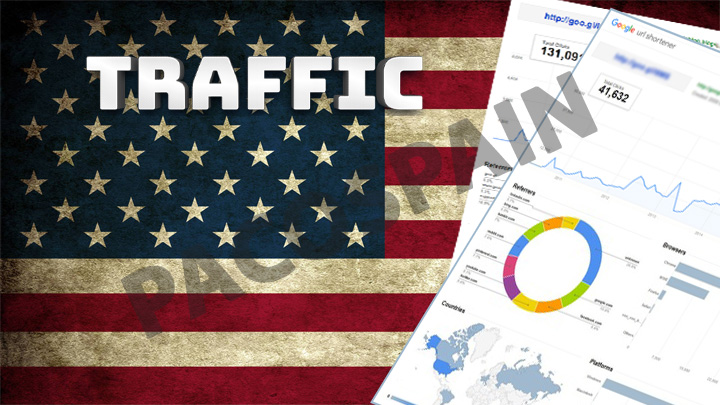 500 American Targeted Visitors for 30 Days with low b...