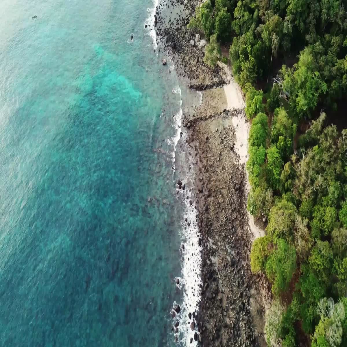 VIDEO CREATION AND EDITING FOR SOCIAL MEDIA PLATFORMS 