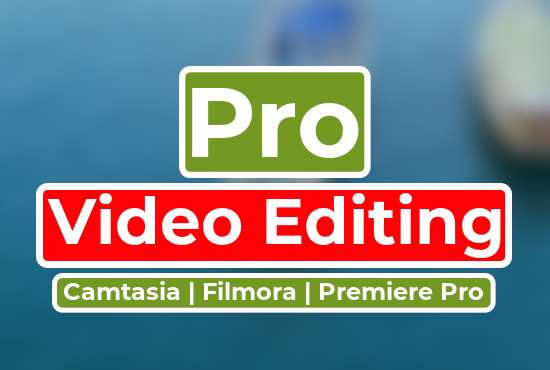 I will professional video editing with Camtasia