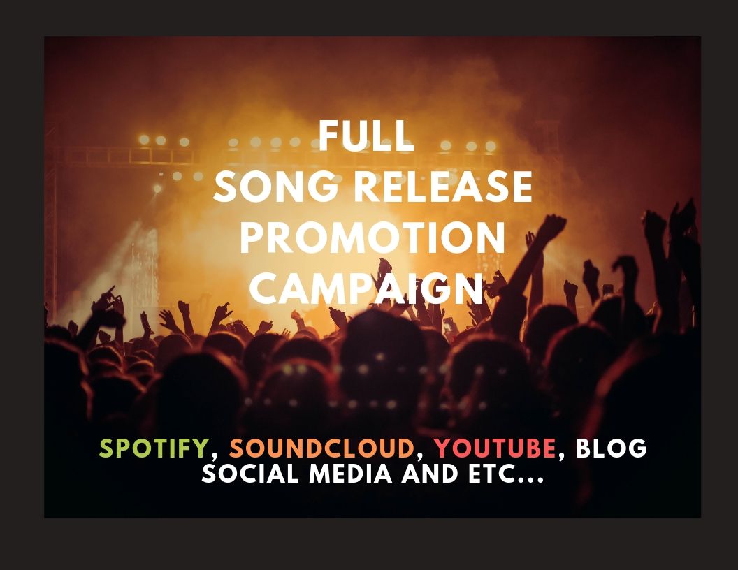 Full PR Campaign for your Song/Album Release 