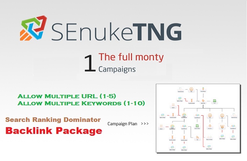 Create Massive Backlink Diversity Using Senuke Full Monty V4 TNG Campaign