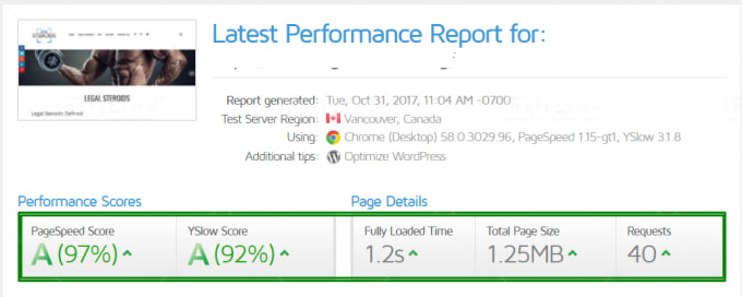 WordPress Speed Optimization Fastest Speed Upto 400% Page Speed Improvement