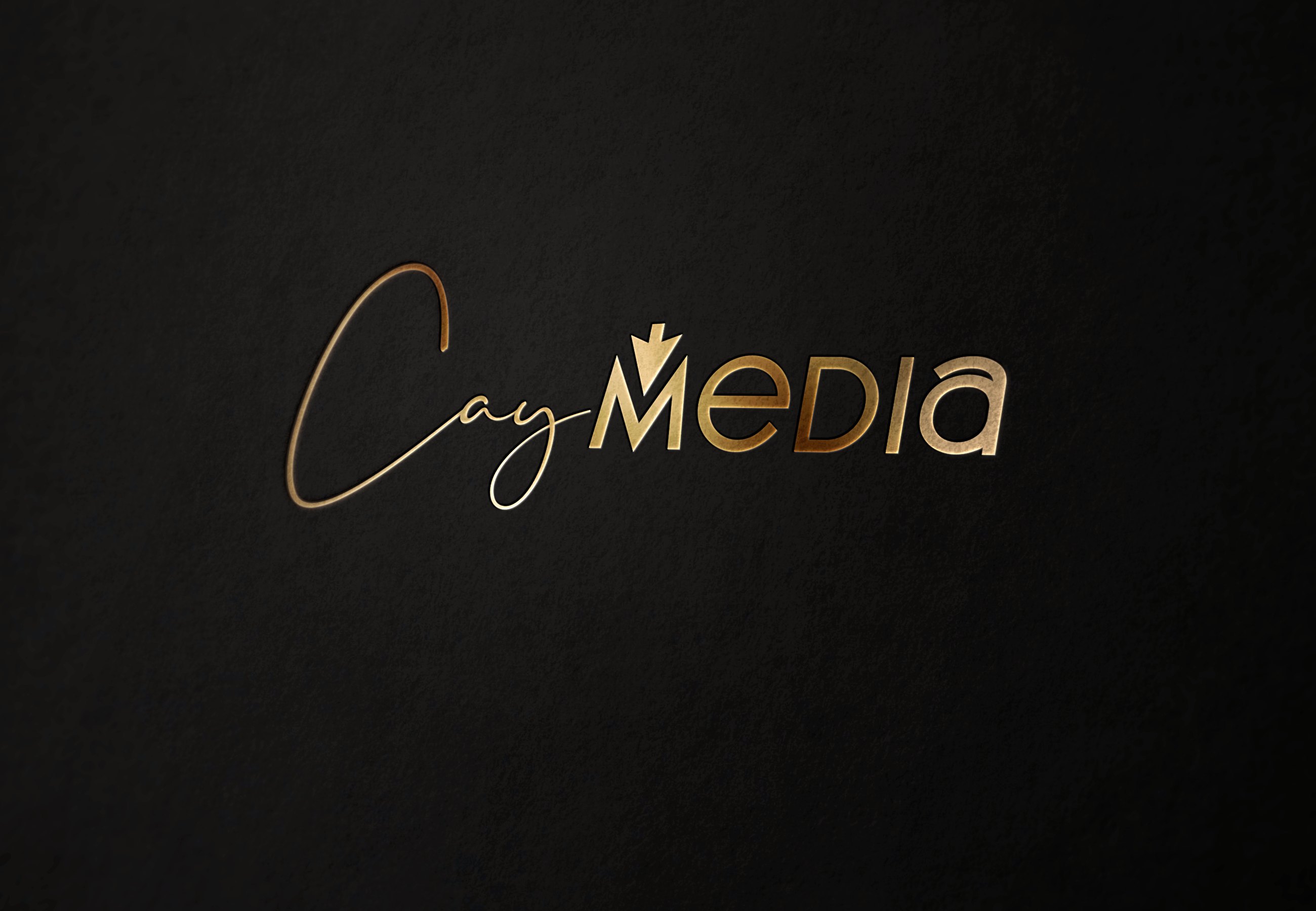 I will design a professional brand logo