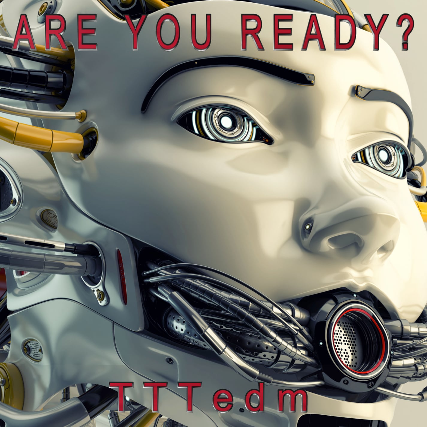 I will do a responsive website for all Devices. Setup your Music on All digital outlets Free!