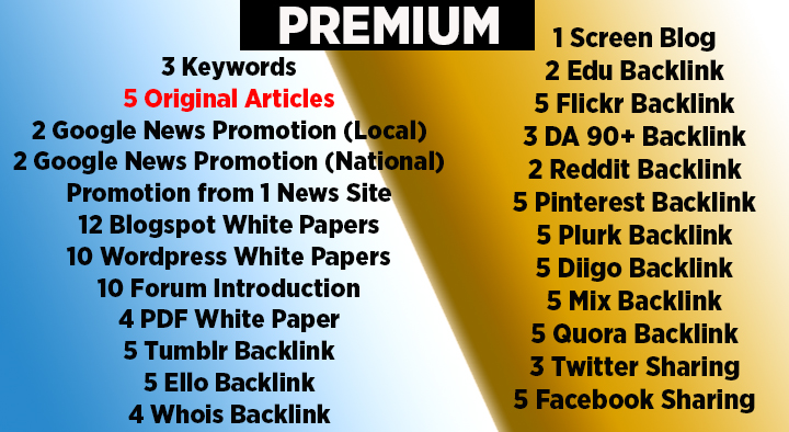 SEO Packages with Original and Promotional Articles