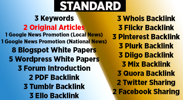 SEO Packages with Original and Promotional Articles