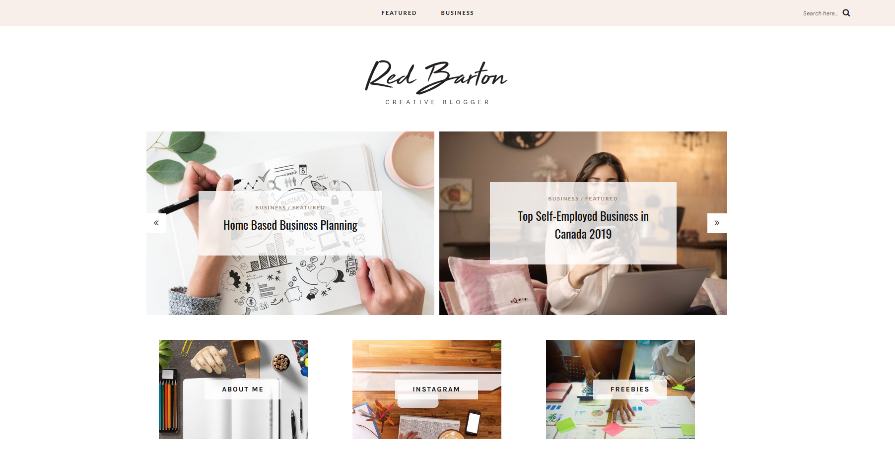 3 Guest Post On Da30 Tld Private Real Blogs (Authority Backlinks)