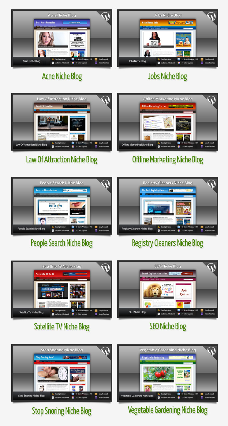 I will provide 18 blogs niche wordpress website clickbank amazon adsense
