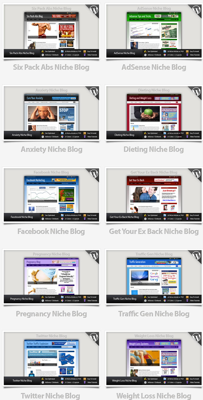 I will provide 18 blogs niche wordpress website clickbank amazon adsense