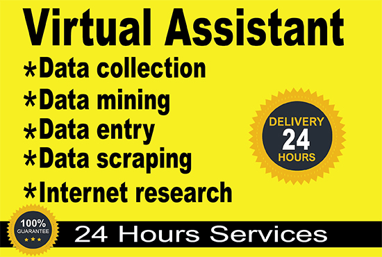 I will be your virtual assistant for data entry, data mining , web research
