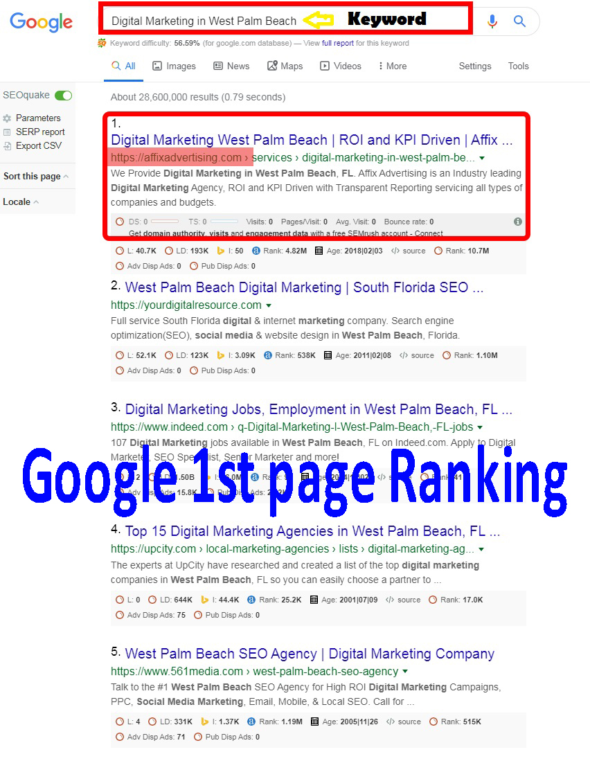 Rank your website on Google 1st page guaranteed monthly SEO plan