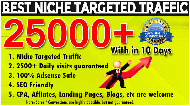 I will provide 25000 targeted website traffic real vi...