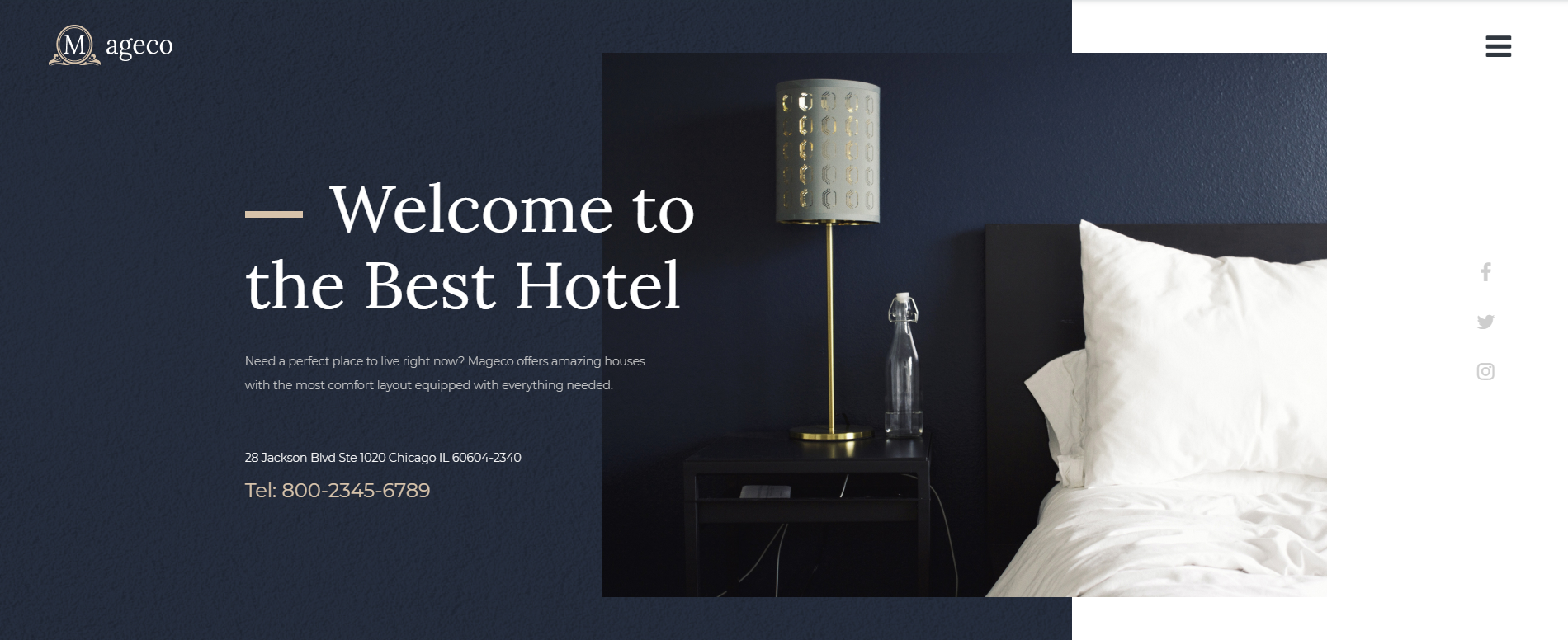 Develop a Professional Wix Website