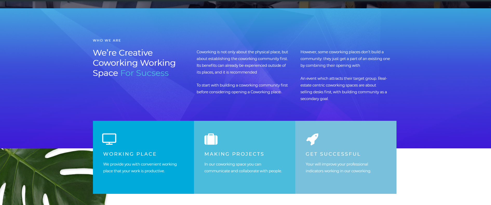 Develop a Professional SquareSpace Website
