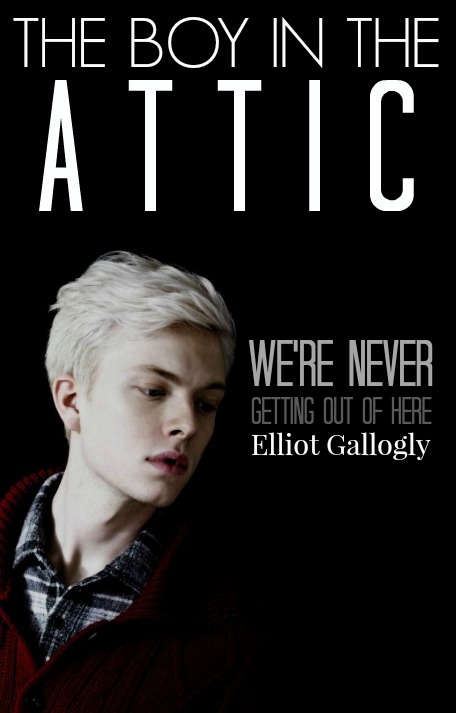 I will create a professional E-Book cover for you