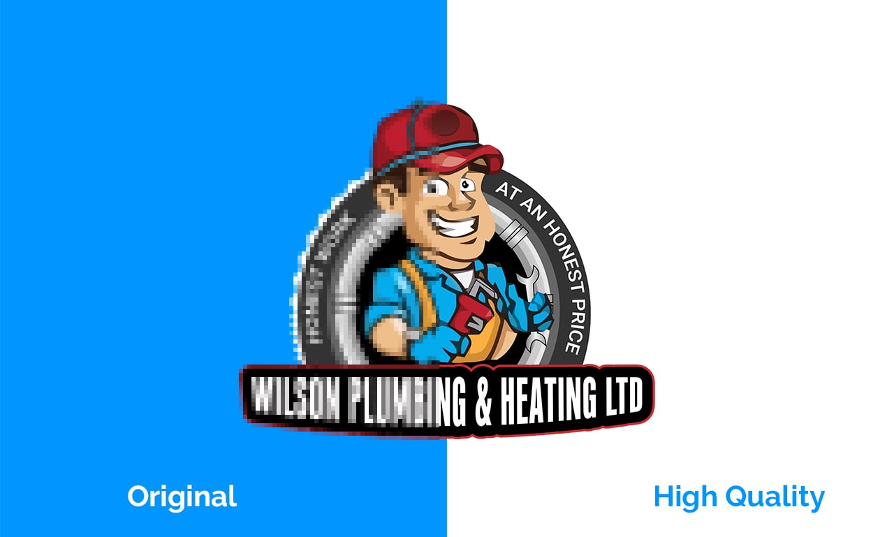 Convert Your Graphic Or Logo To Vector In 24 Hours