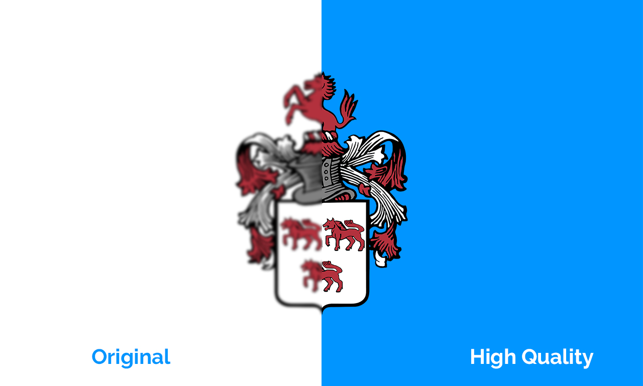 Convert Your Graphic Or Logo To Vector In 24 Hours