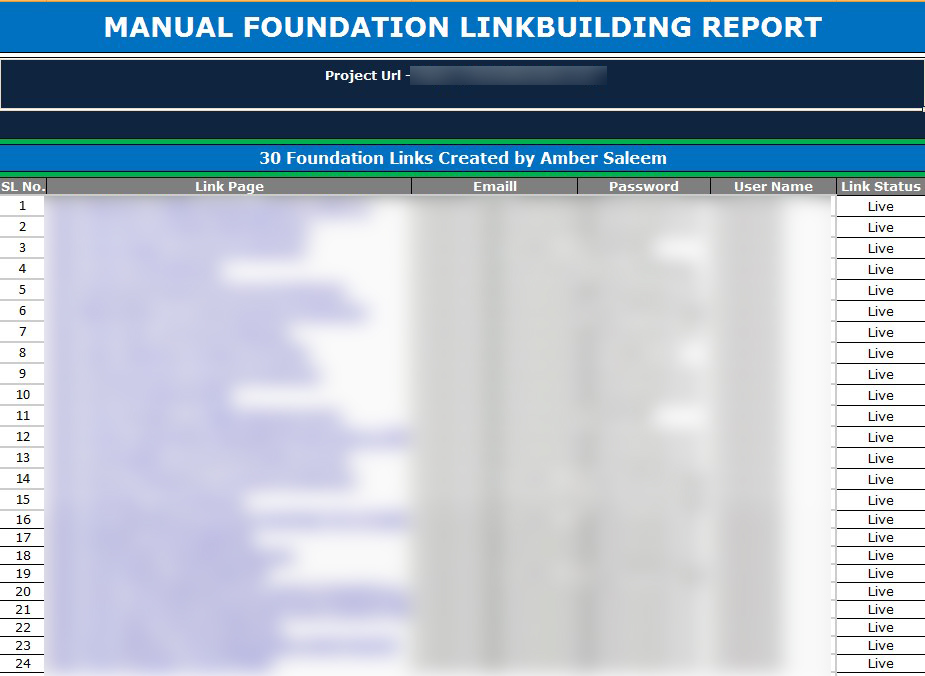 High Quality Branded foundation manual SEO link building