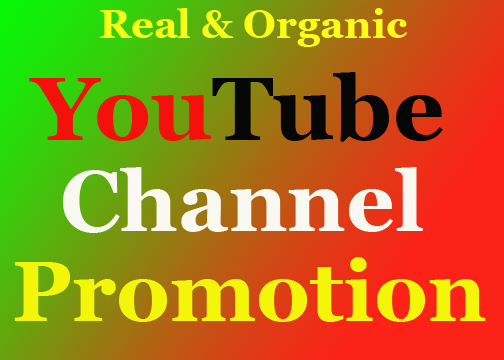 Increase YouTube Chanel Member Via Organic Way Safely