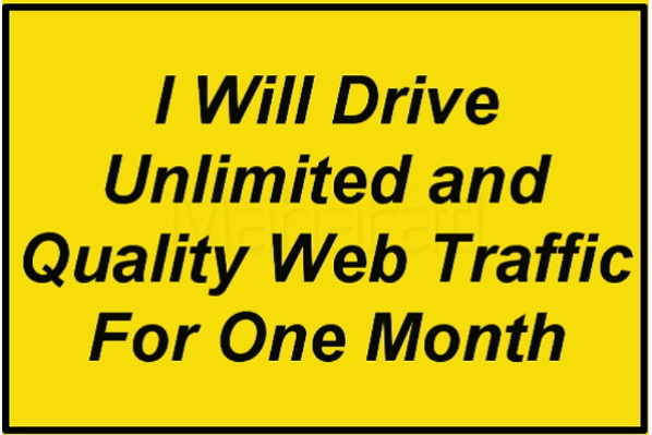 I will Drive Quality web TRAFFIC to your Website, Blog or gig
