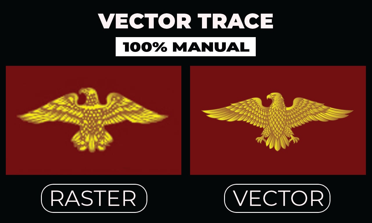I will manually vector trace, redraw logo to AI, EPS, SVG