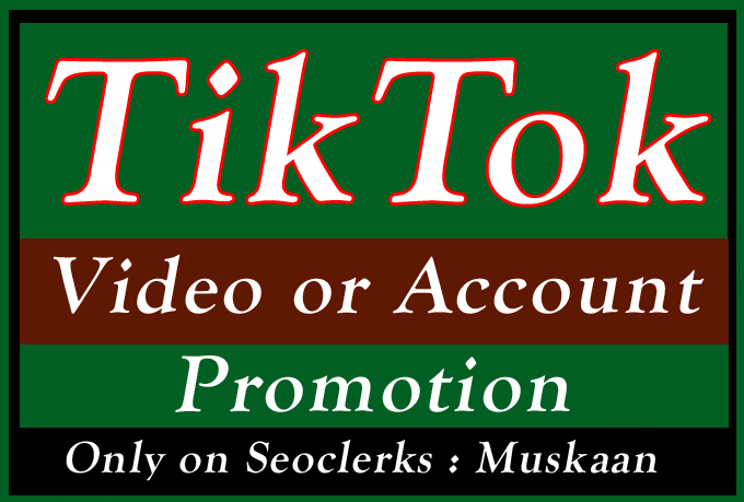 TikTok Summarized: Ads, Bloggers, Audience and Promotion
 |Tiktok Account Promotion