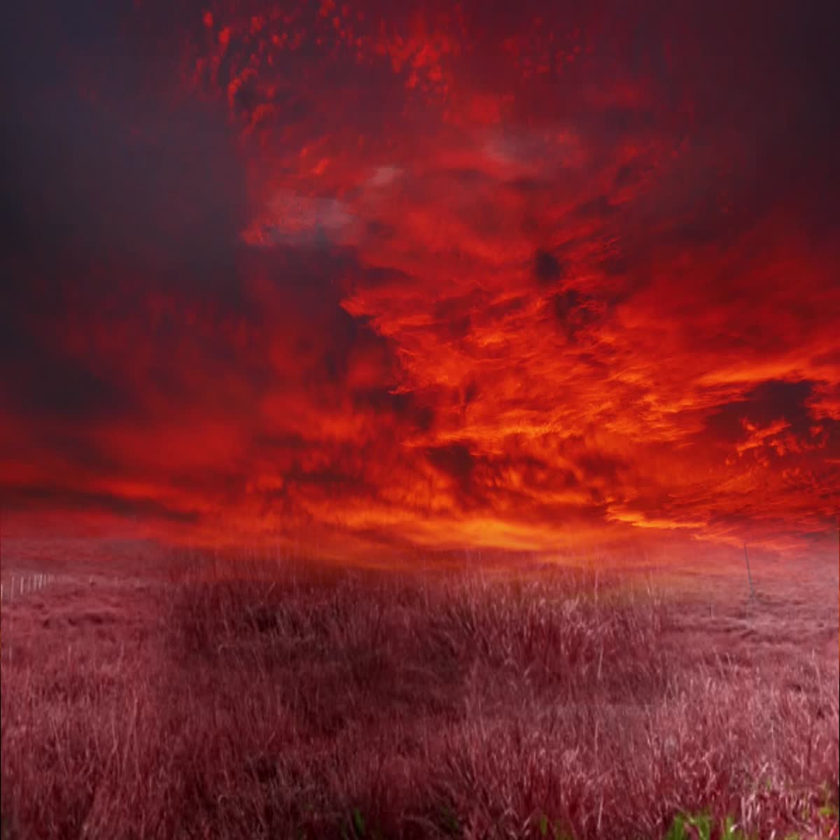 I will make and edit awesome video