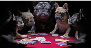 100 GAMBLING, CASINO, BETTING, JUDI BOLA, BLOGROLL Post TOP LEVEL Website Ranking Highly Recommended