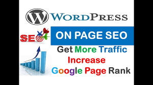 I will provide on page SEO for complete your wordpress website