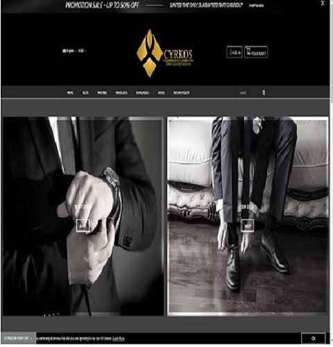 Open a Shopify DROP-SHIPPING Store For You