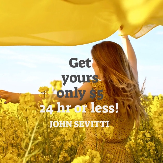 Create stunning video in 24 hours or less