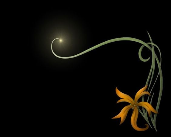 Best promoter channel service firstly give