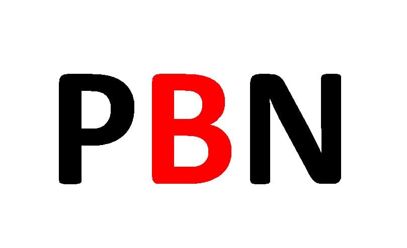Push your site Google 1st Page with 455+ High Quality PBN backlinks with fast delivery 