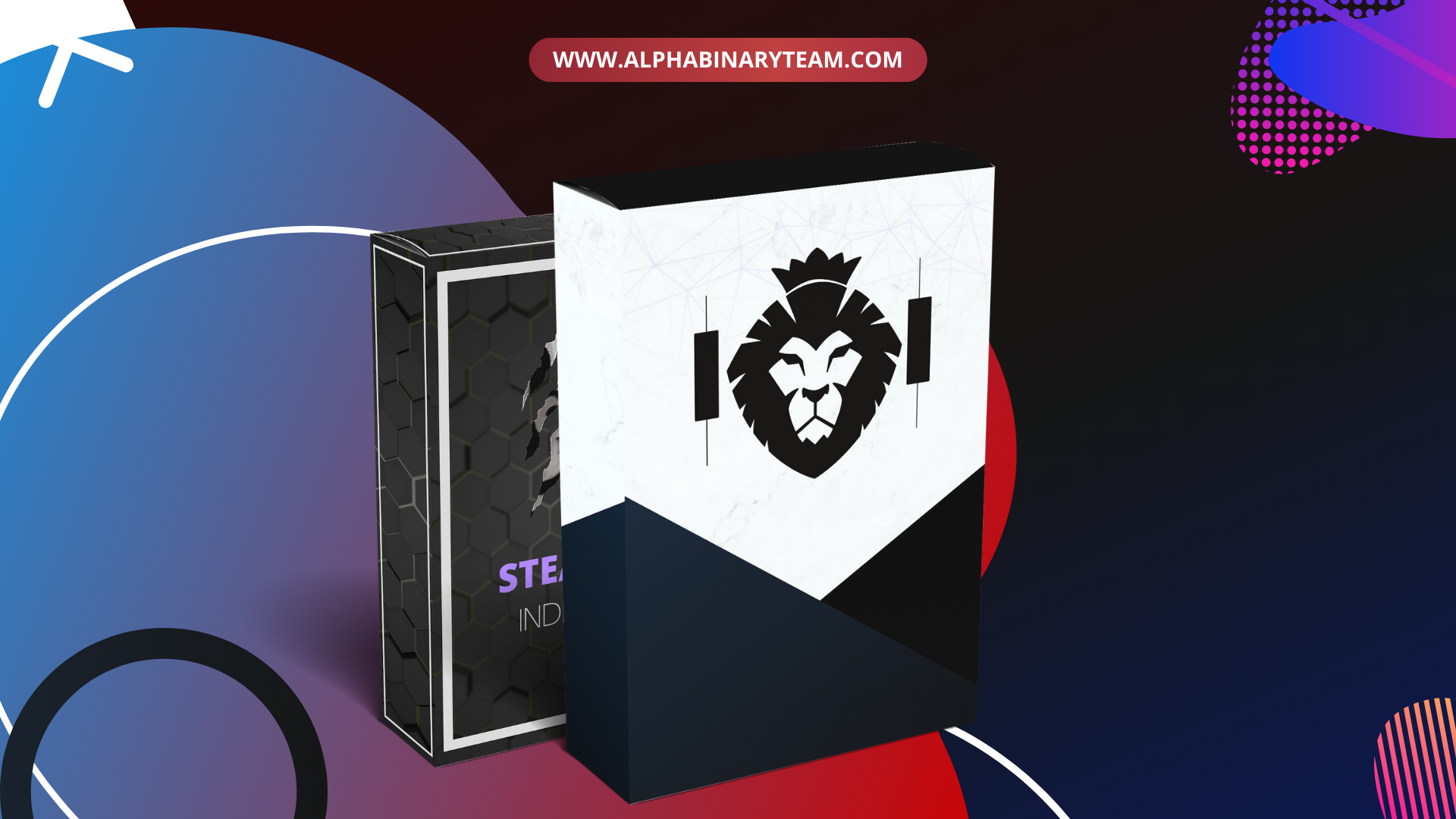 Alpha Binary Team VIP Premium Package 