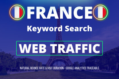 Keyword search high quality France Web traffic Organi...