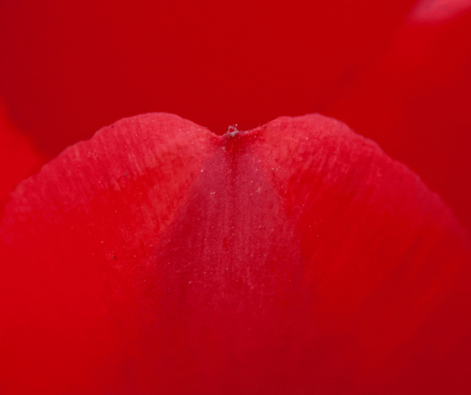 I will provide SEO service with 20 high-quality Quora backlinks for google ranking