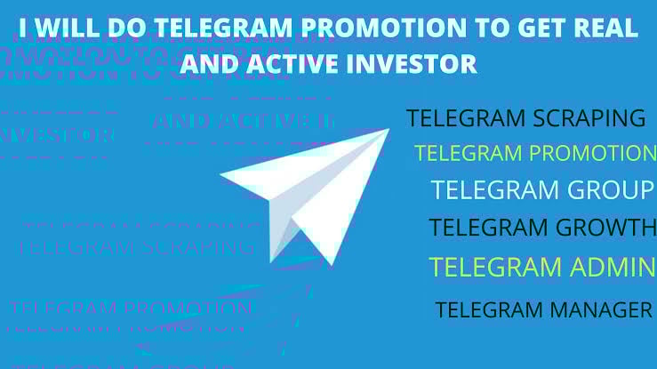 I will do Organic and real channel active audience