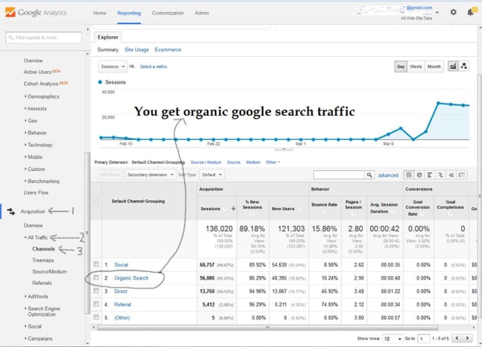 1500 USA Visitors Daily For 30 Days From Niche Targeted Organic Traffic From Google