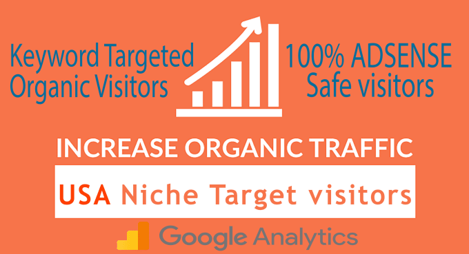 1500 USA Visitors Daily For 30 Days From Niche Targeted Organic Traffic From Google
