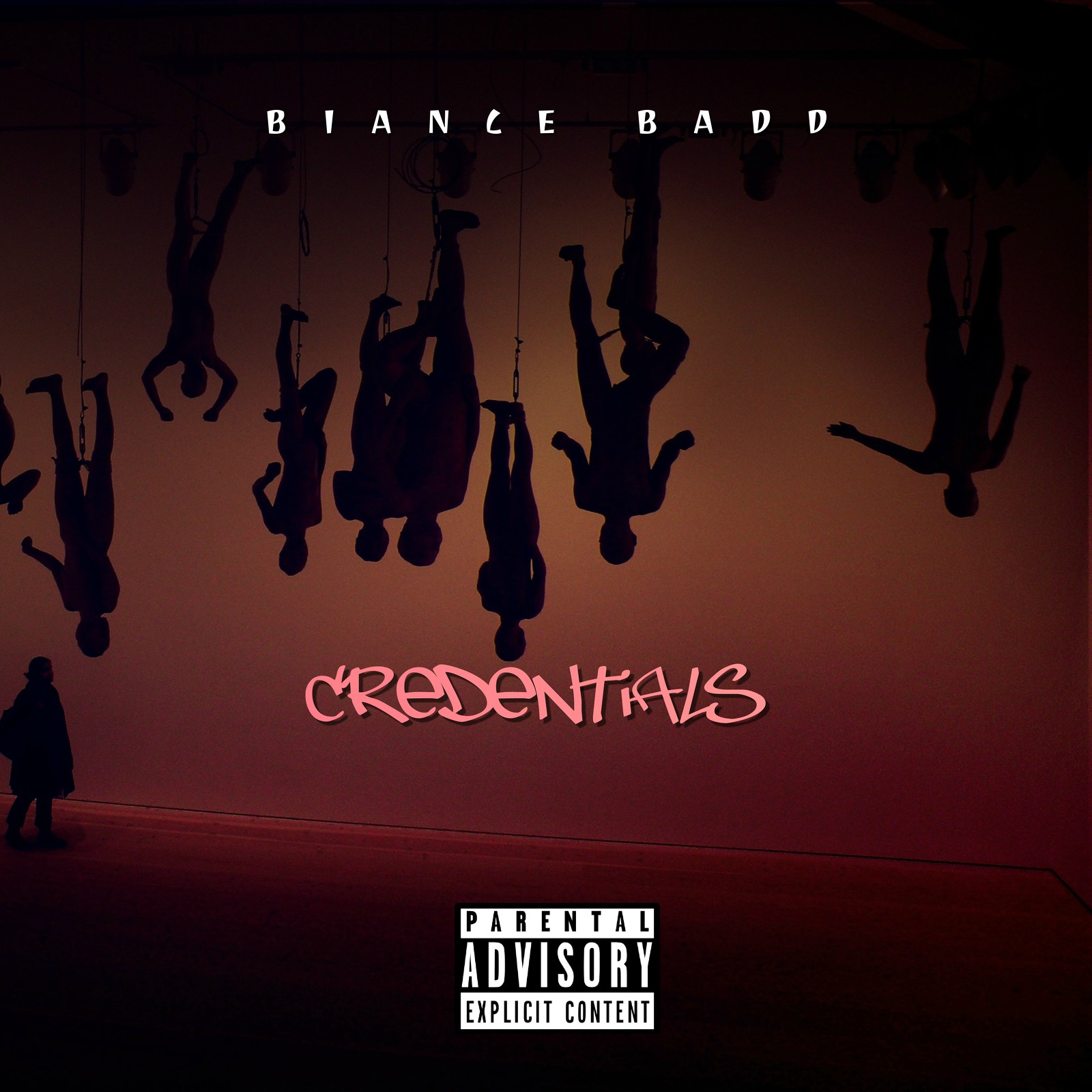 COVER ART OR FLYERS CUSTOM ORDERS FAST TURN AROUND