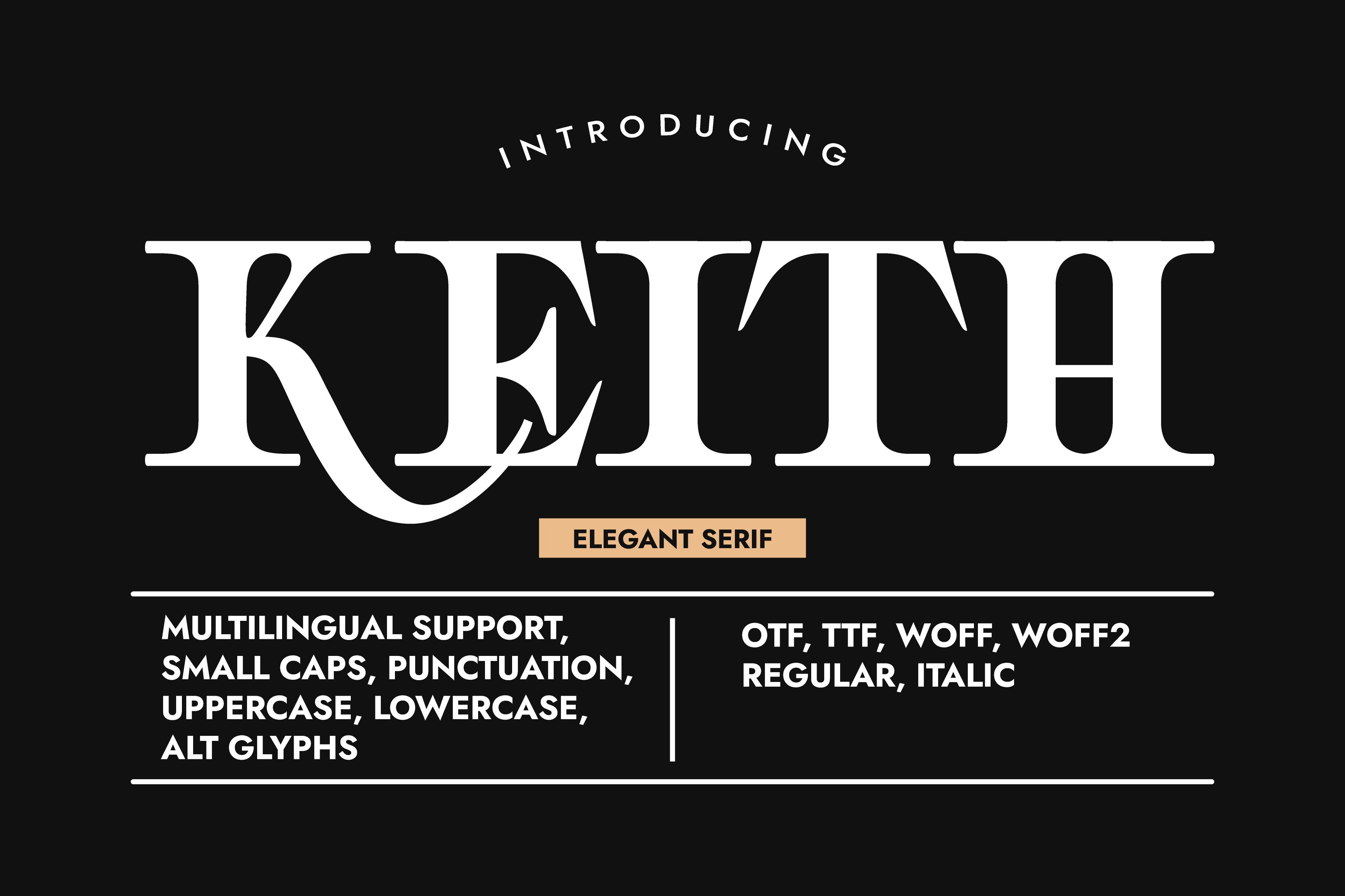 I Will Create Custom Unique, Minimalist & Elegant Serif Font, I'll Provide Italic Version As Bonus