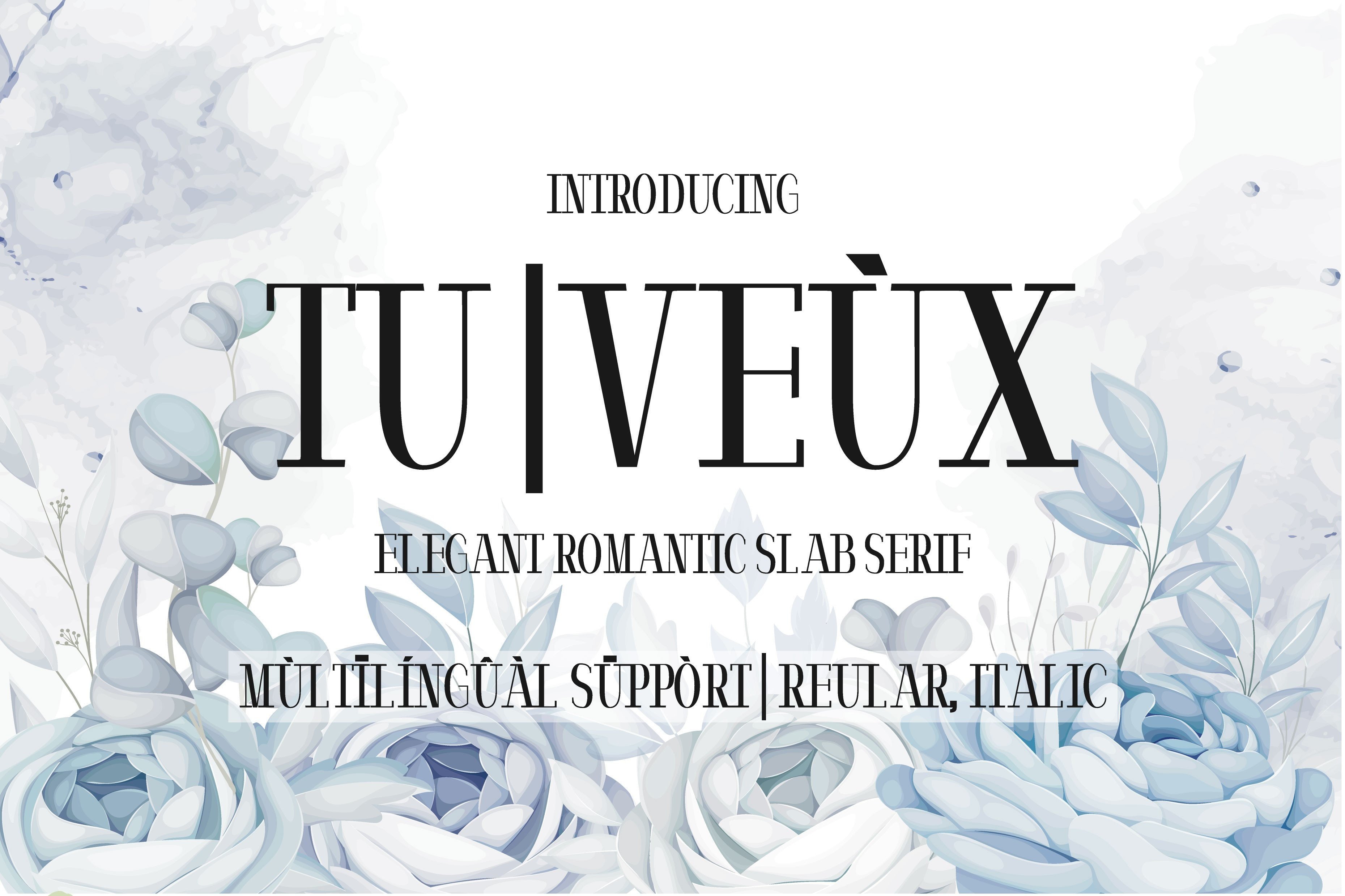 I Will Create Custom Unique, Elegant Slab Serif Font, I'll Provide Italic Version Bonus
