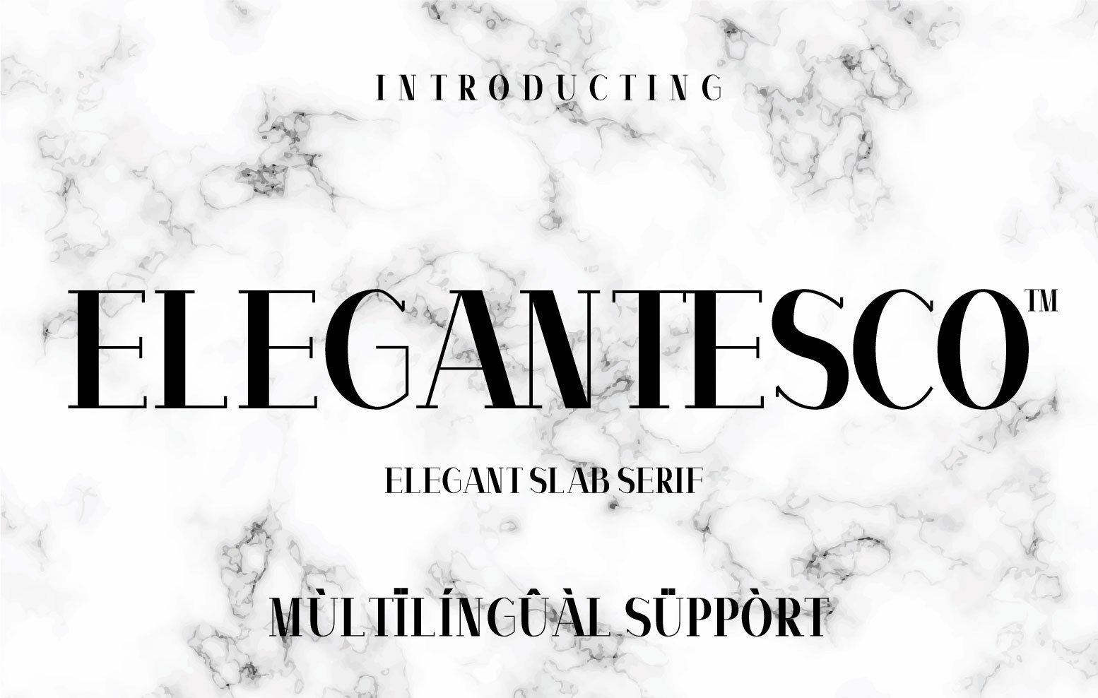 I Will Create Custom Unique, Elegant Slab Serif Font, I'll Provide Italic Version Bonus