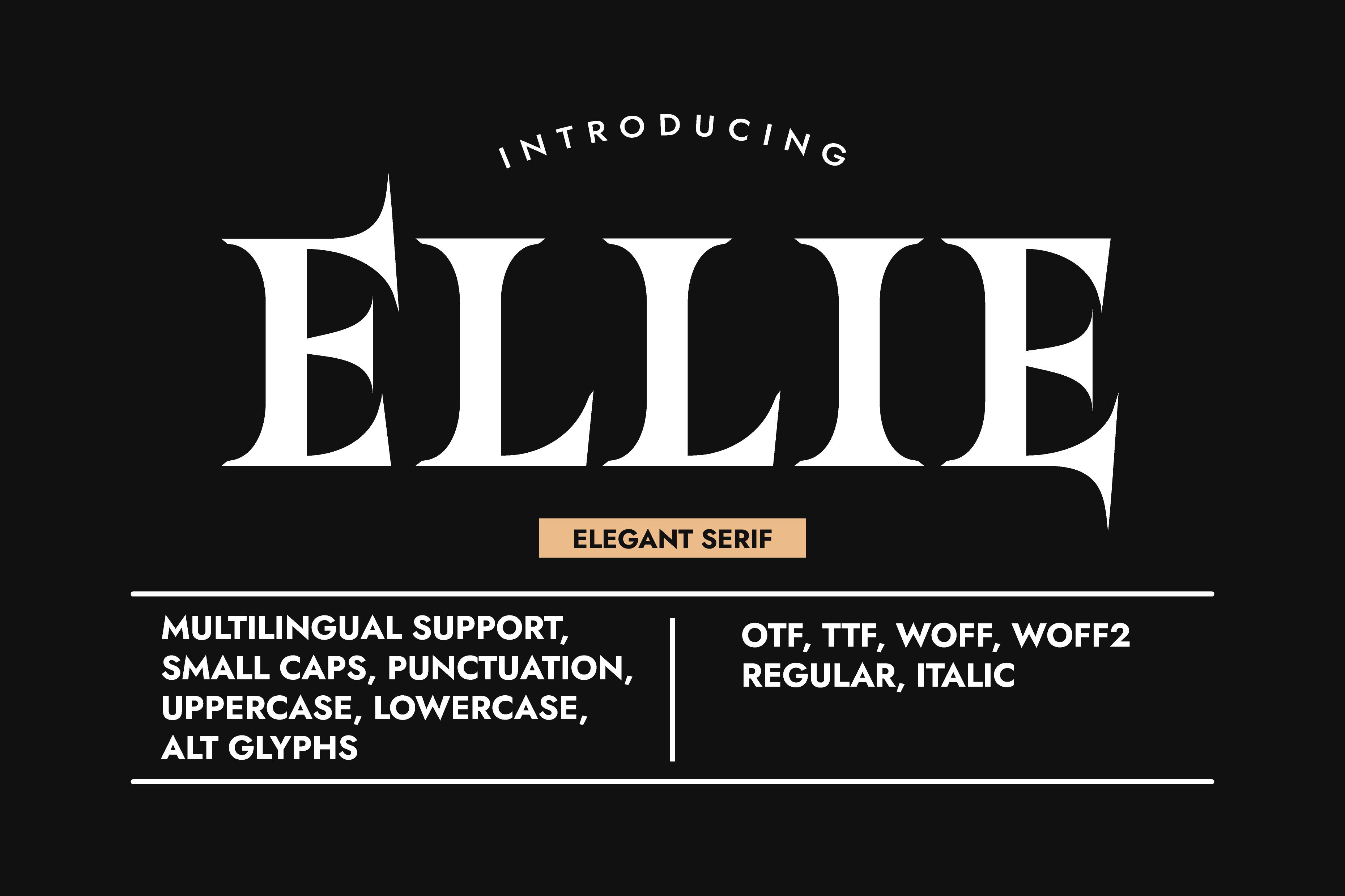 I Will Create Custom Unique, Minimalist & Elegant Serif Font, I'll Provide Italic Version As Bonus