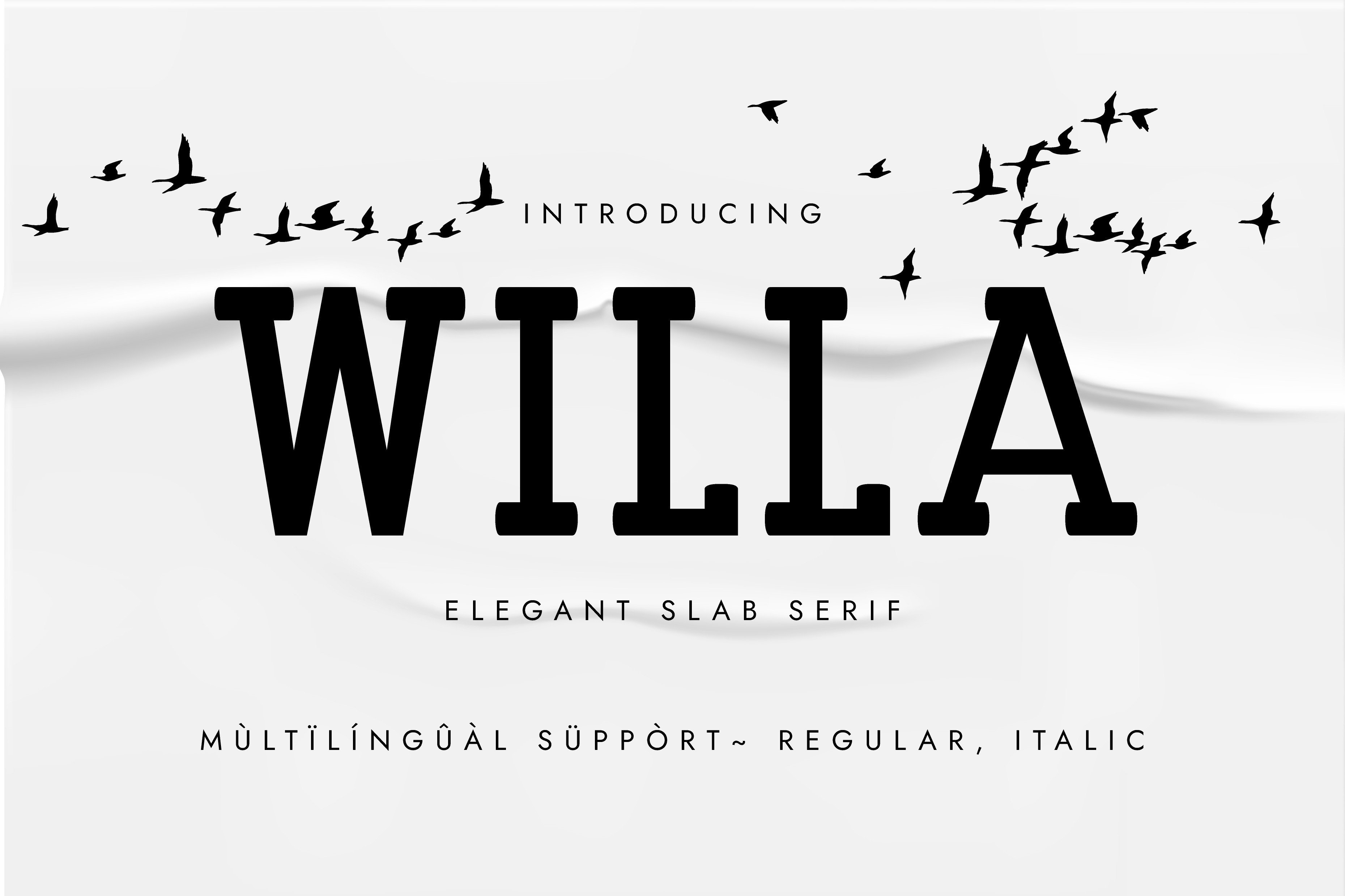 I Will Create Custom Unique, Elegant Slab Serif Font, I'll Provide Italic Version Bonus