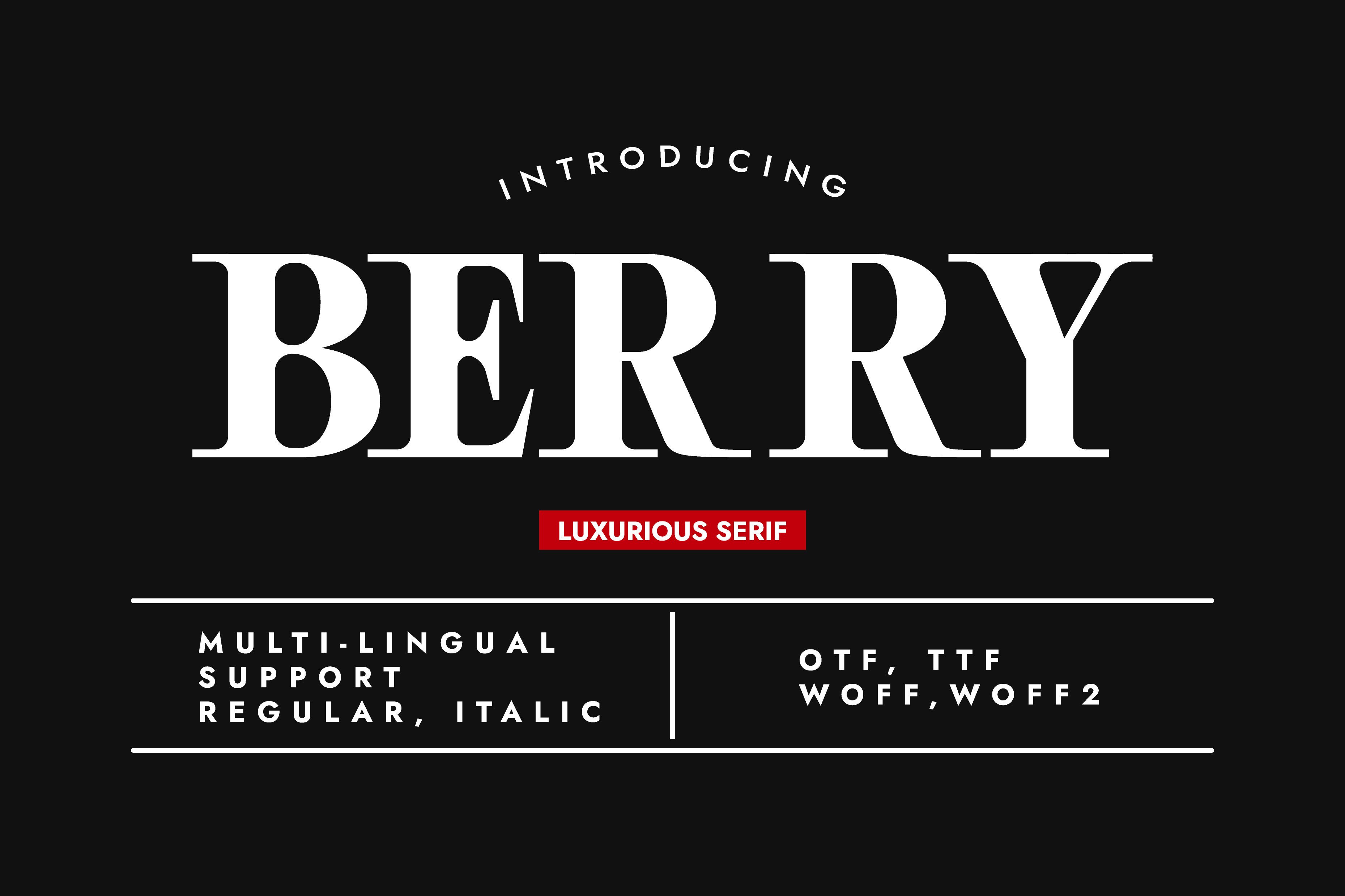 I Will Create Custom Unique, Minimalist & Elegant Serif Font, I'll Provide Italic Version As Bonus