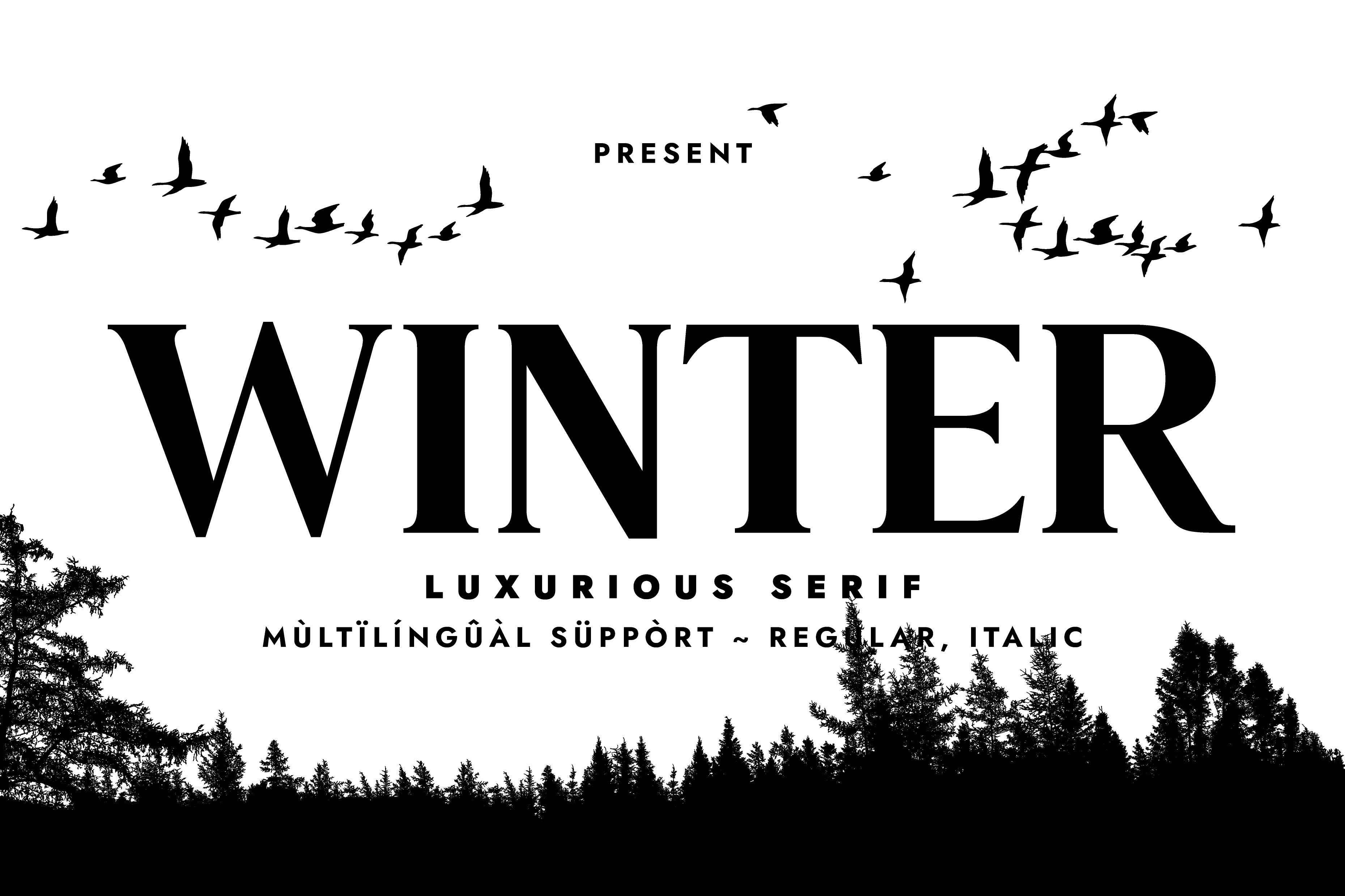 I Will Create Custom Unique, Minimalist & Elegant Serif Font, I'll Provide Italic Version As Bonus