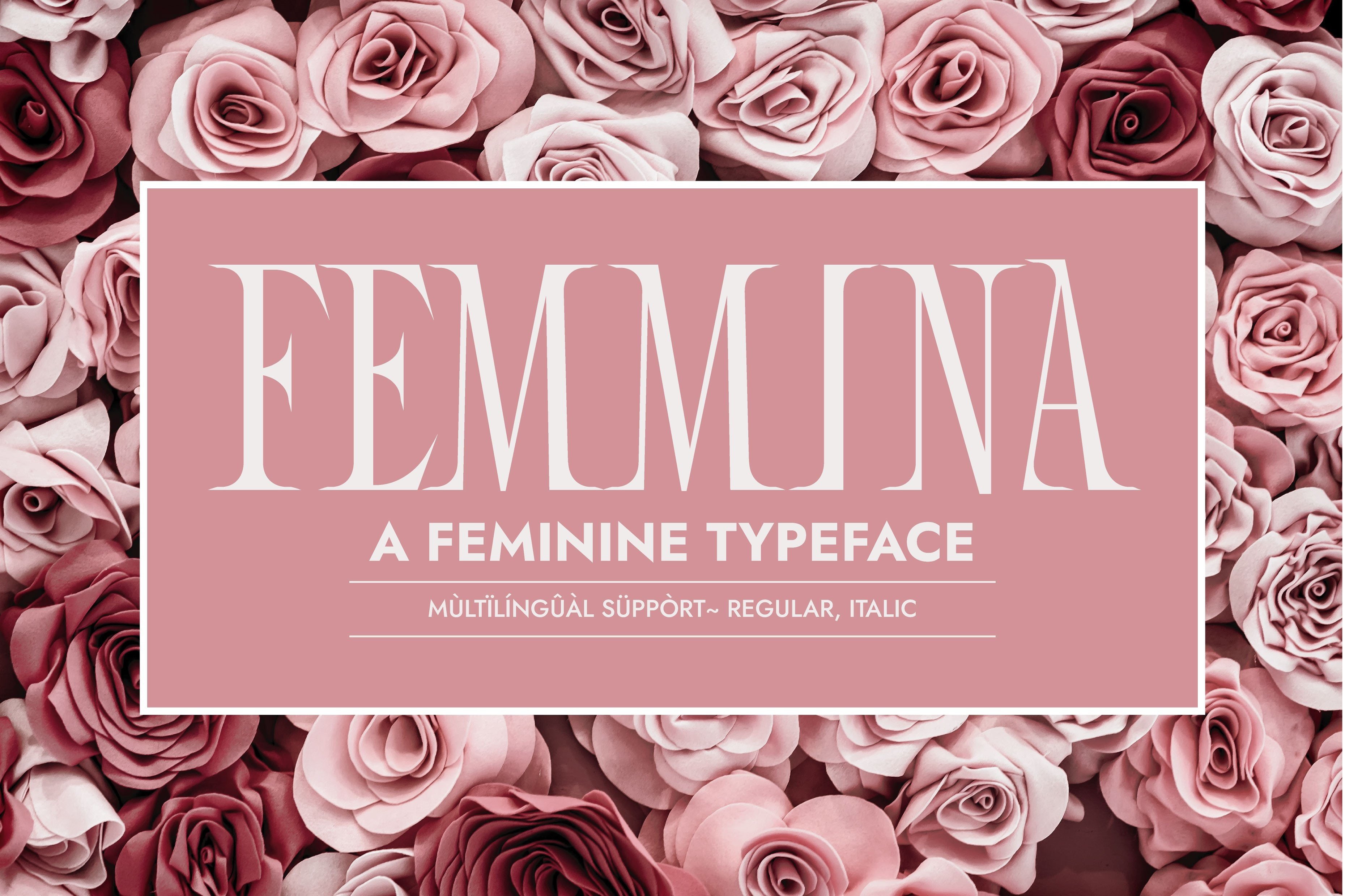I Will Create Custom Unique, Elegant Slab Serif Font, I'll Provide Italic Version Bonus