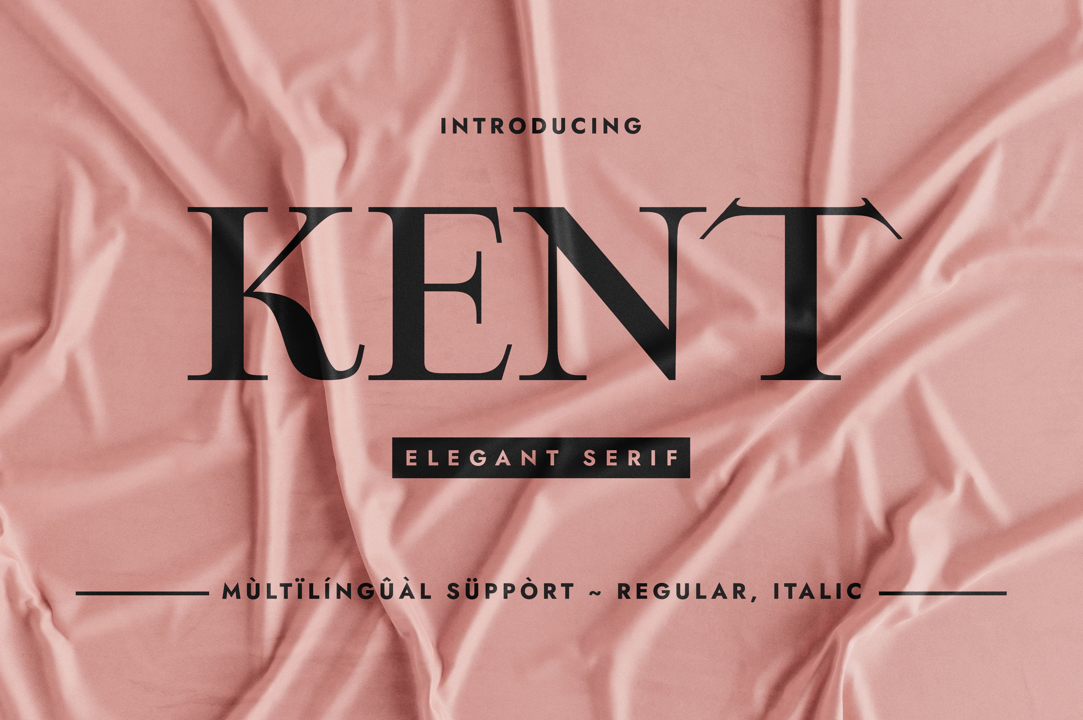 I Will Create Custom Unique, Minimalist & Elegant Serif Font, I'll Provide Italic Version As Bonus