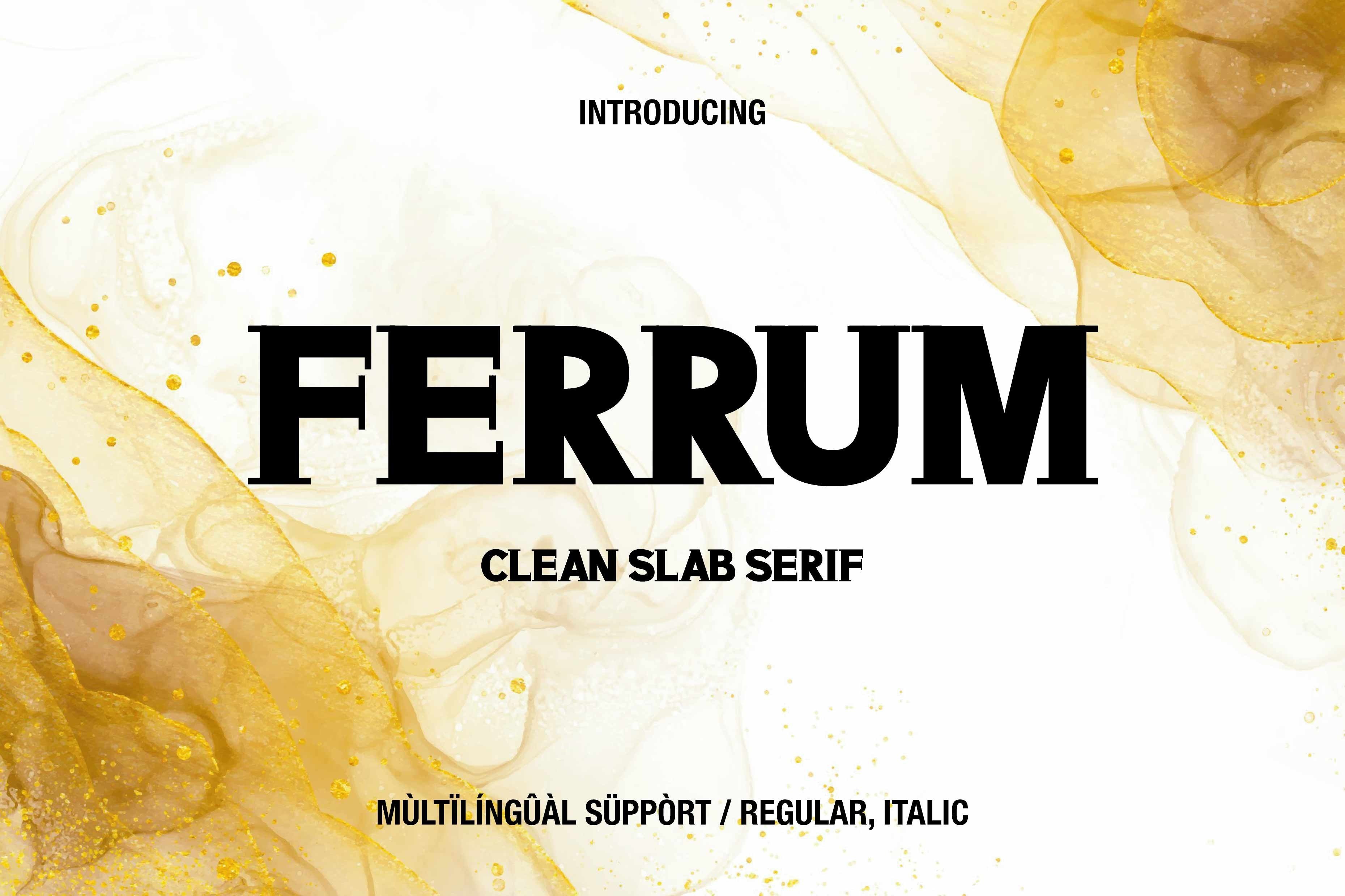 I Will Create Custom Unique, Elegant Slab Serif Font, I'll Provide Italic Version Bonus
